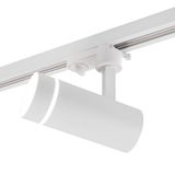 f_51009.jpg