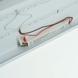 e_51224.jpg