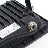 e_55077.jpg