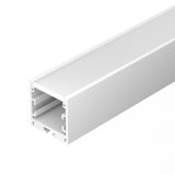 e_DL-01500-0293.jpg