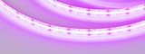 f_DL-06180-0045.jpg