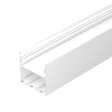 e_DL-01500-0195.jpg