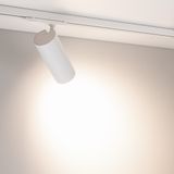 a_DL-12115-0149.jpg