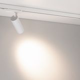 e_DL-12-0980.jpg