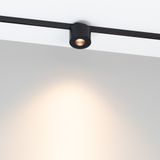 c_DL-12600-0415.jpg