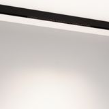 e_DL-12600-0447.jpg