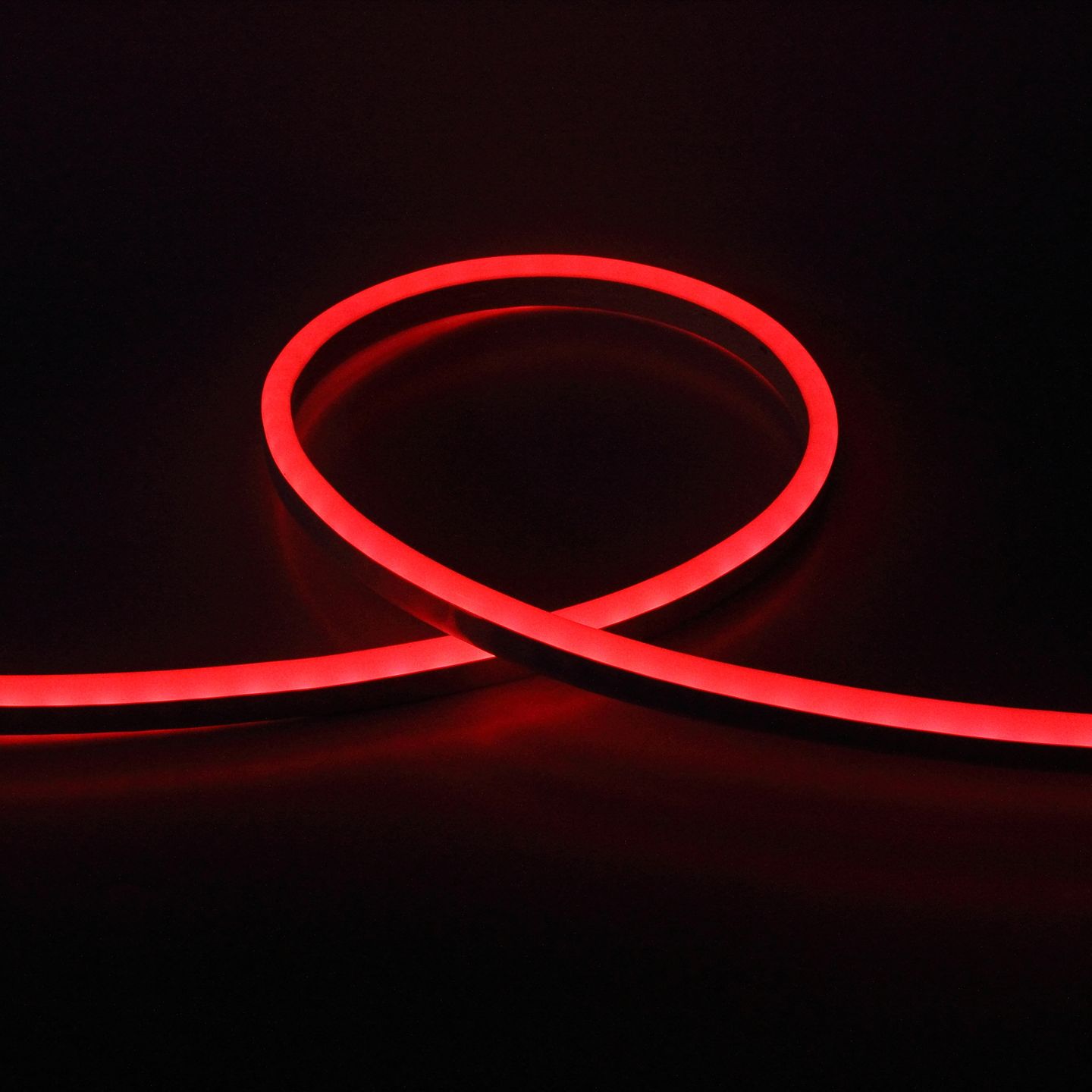 d_56547.jpg