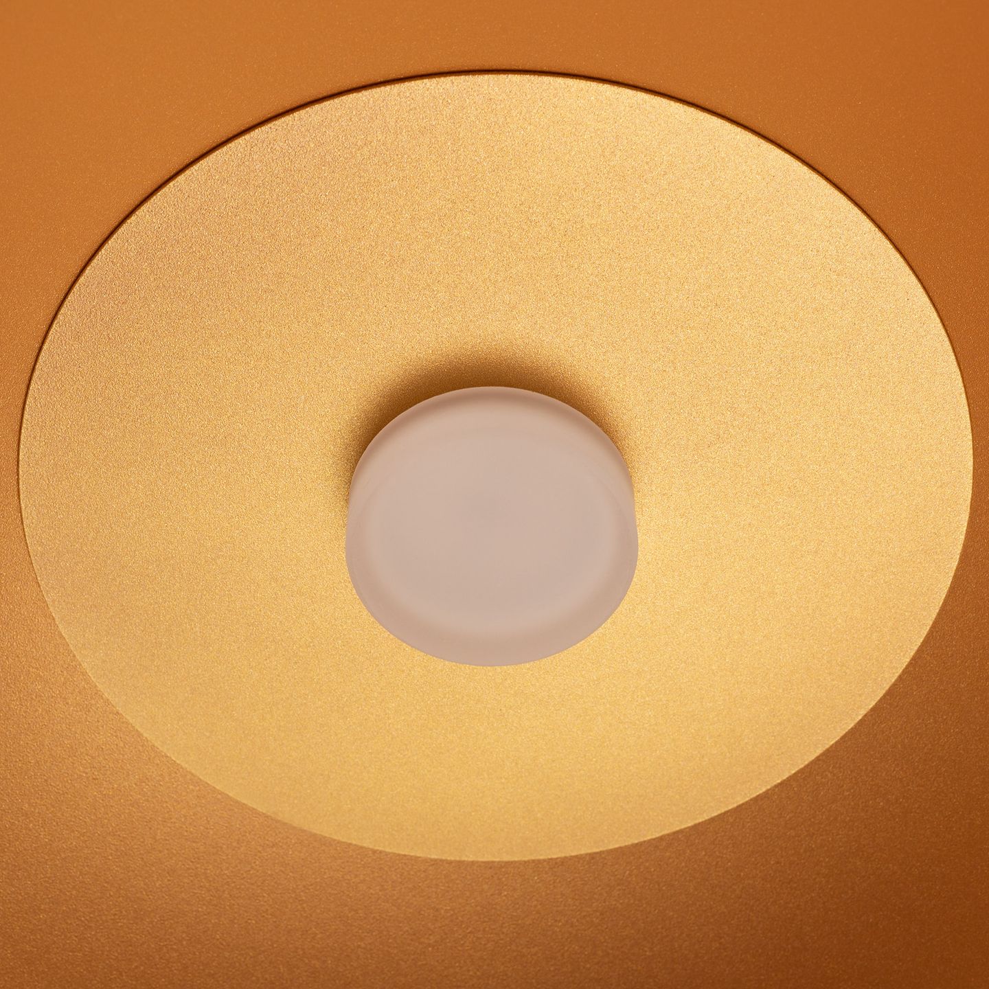 e_DL-12400-0501.jpg