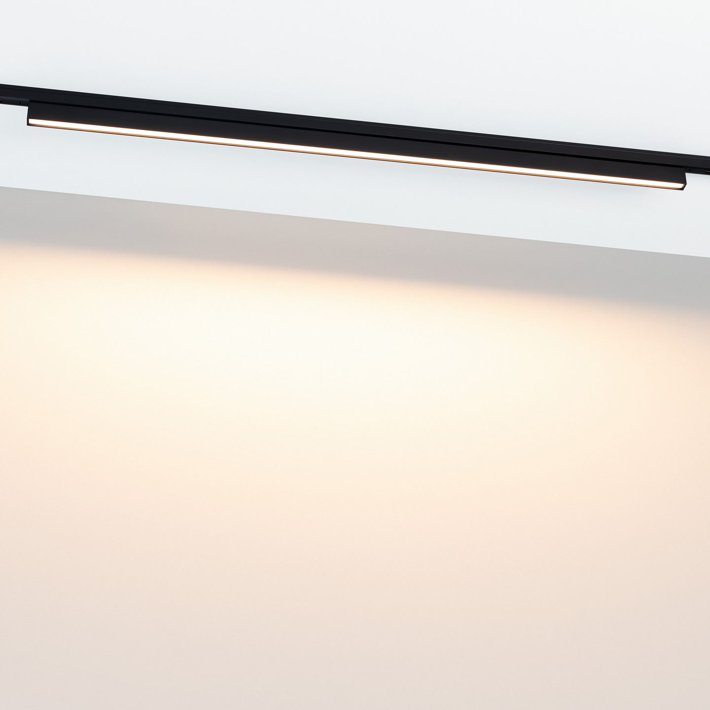 d_DL-12600-0409.jpg