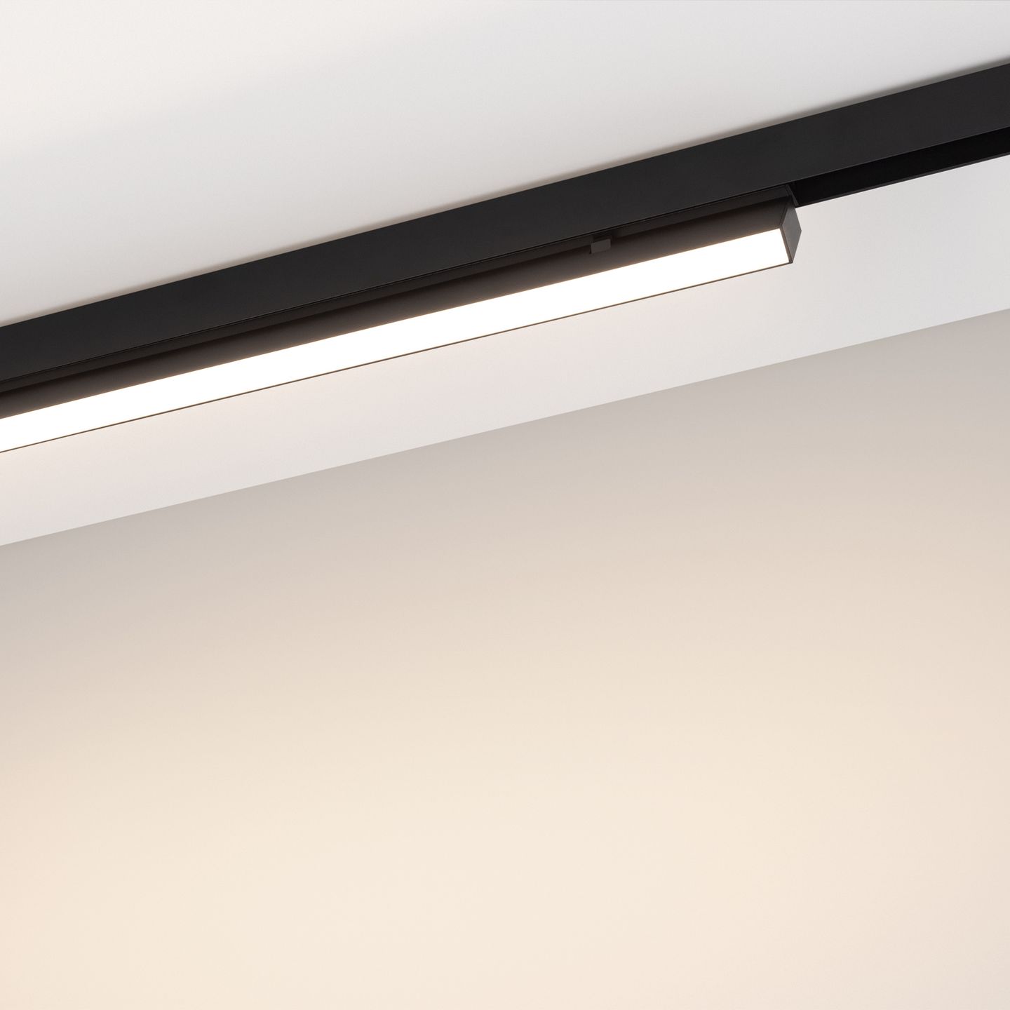 d_DL-12600-0323.jpg