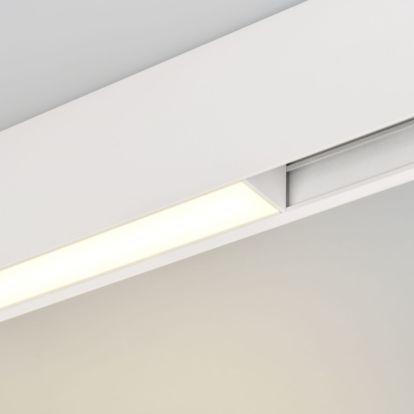 c_DL-12600-0293.jpg