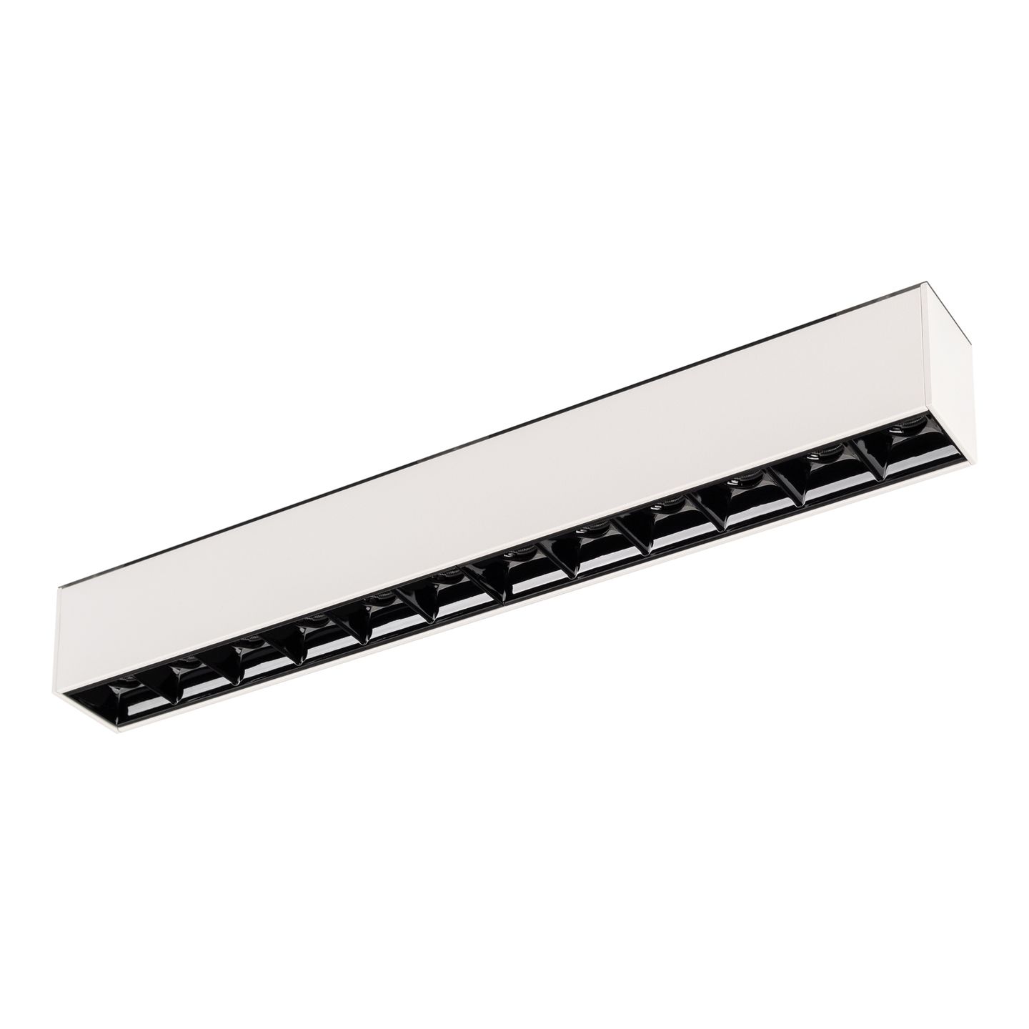 a_DL-12600-0373.jpg