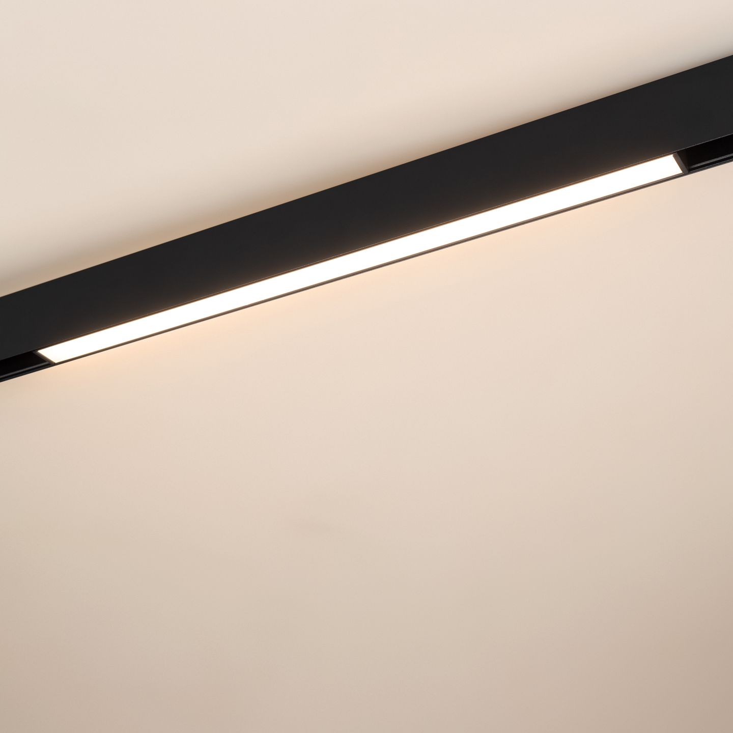 e_DL-12600-0503.jpg