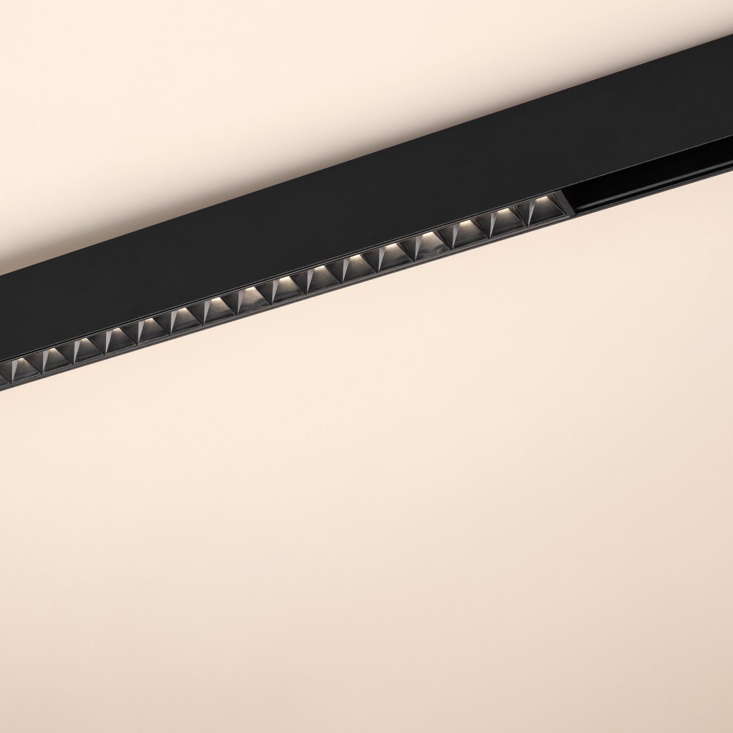 a_DL-12600-0554.jpg