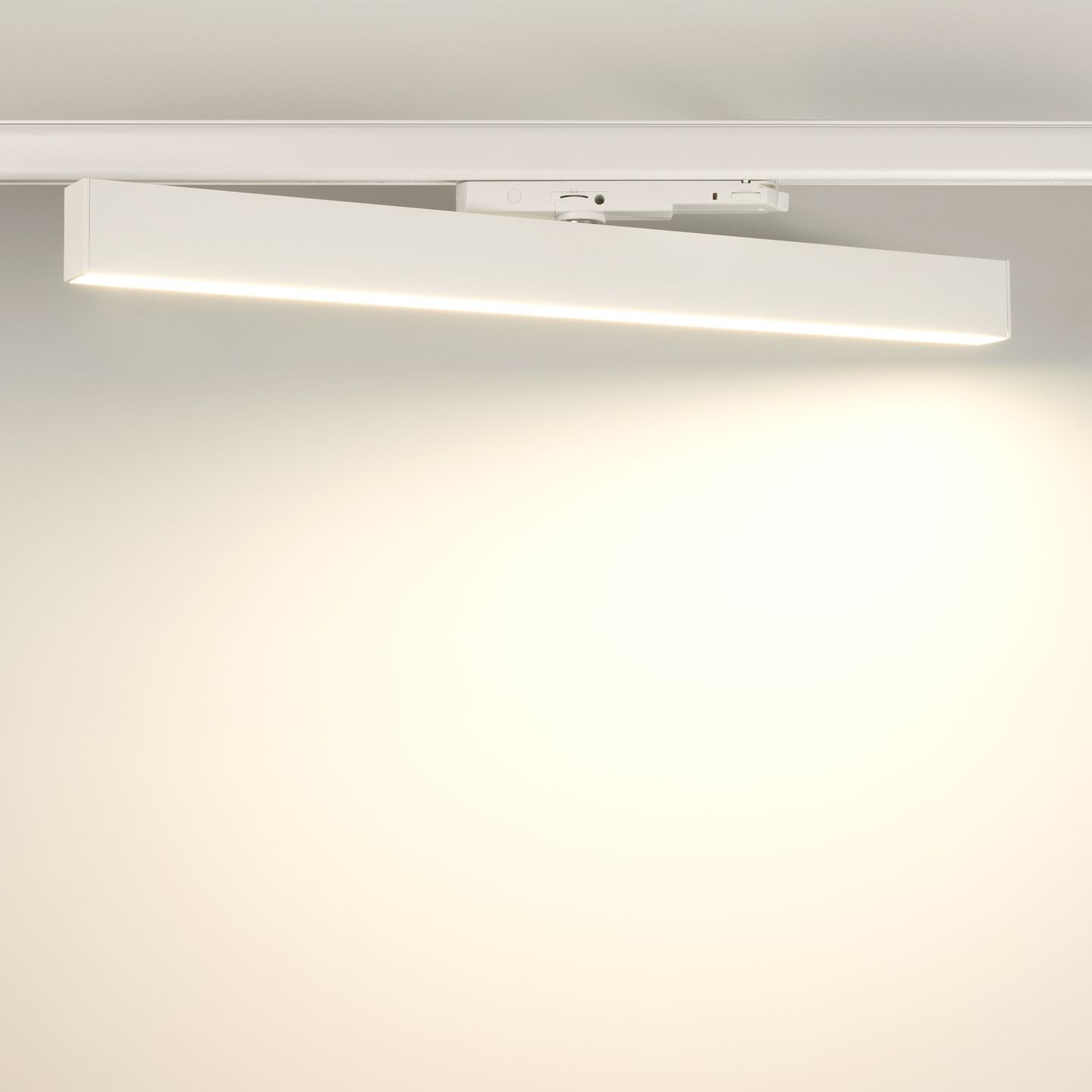 a_DL-12115-0049.jpg