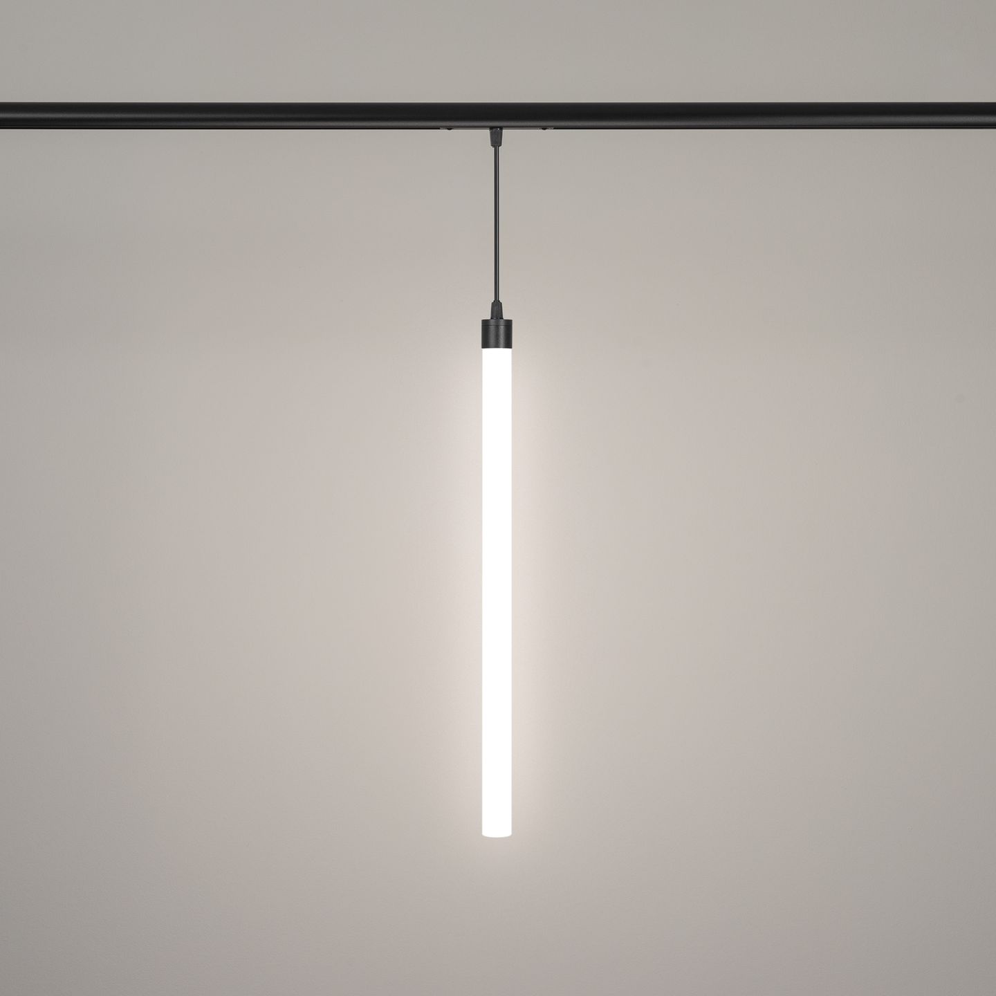 d_DL-12600-0366.jpg