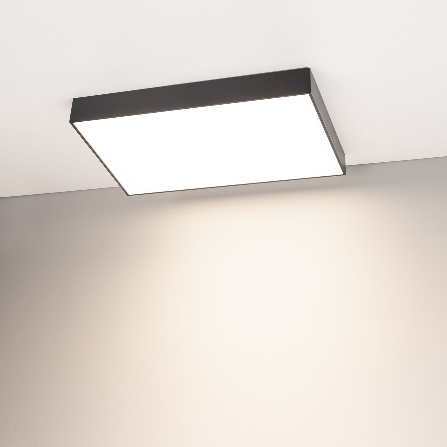 d_DL-12400-0492.jpg