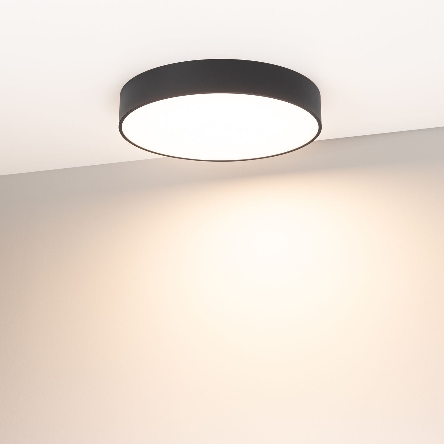 b_DL-12400-0575.jpg