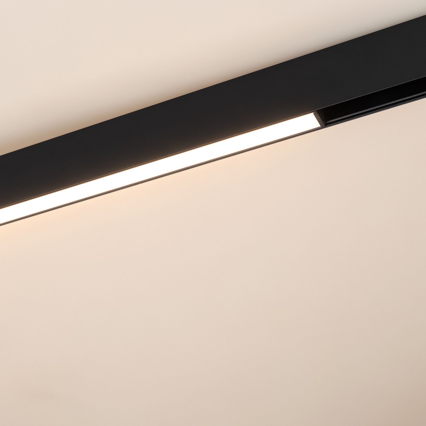 a_DL-12600-0510.jpg