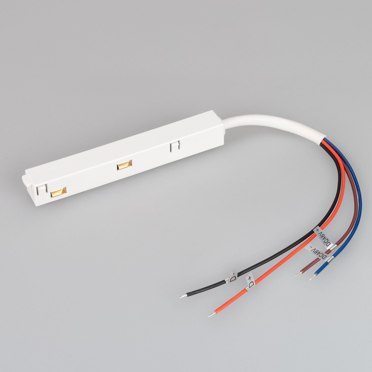 b_DL-12600-0071.jpg