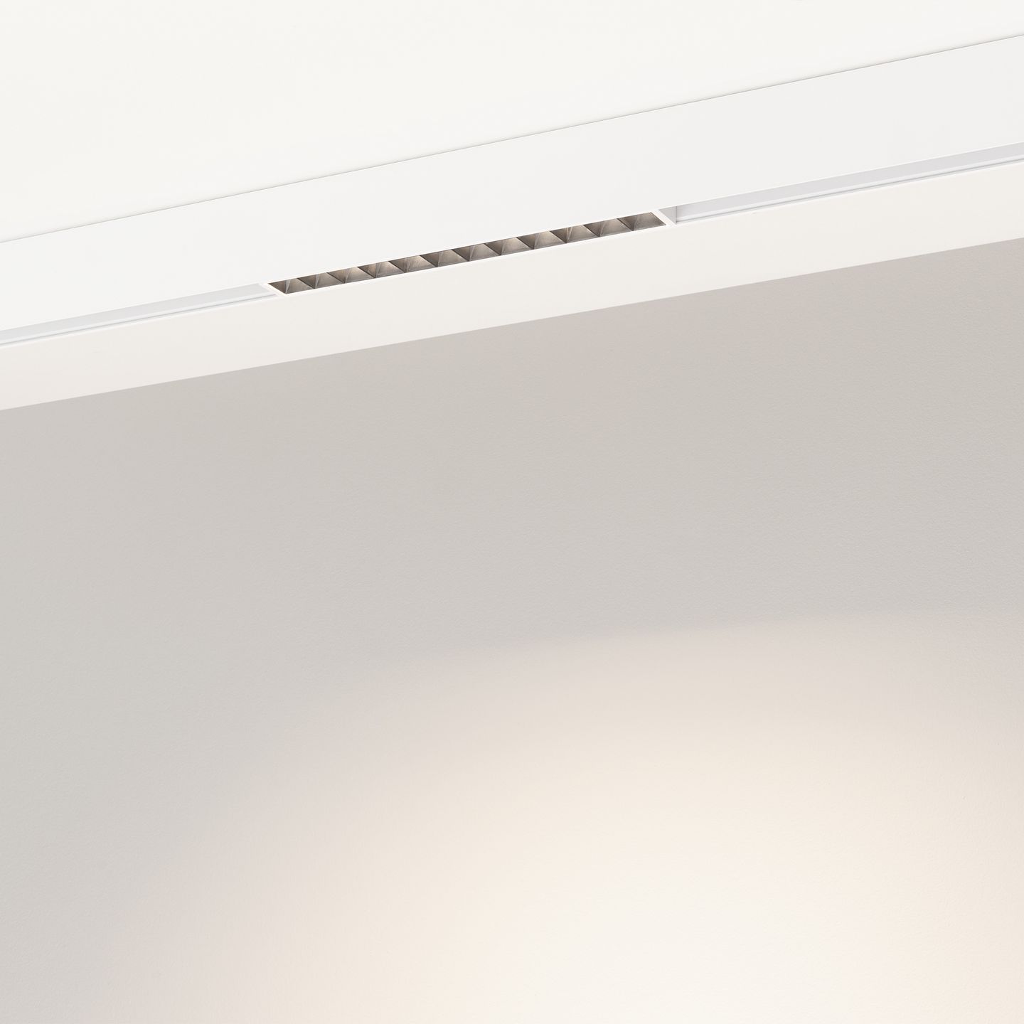 d_DL-12600-0541.jpg