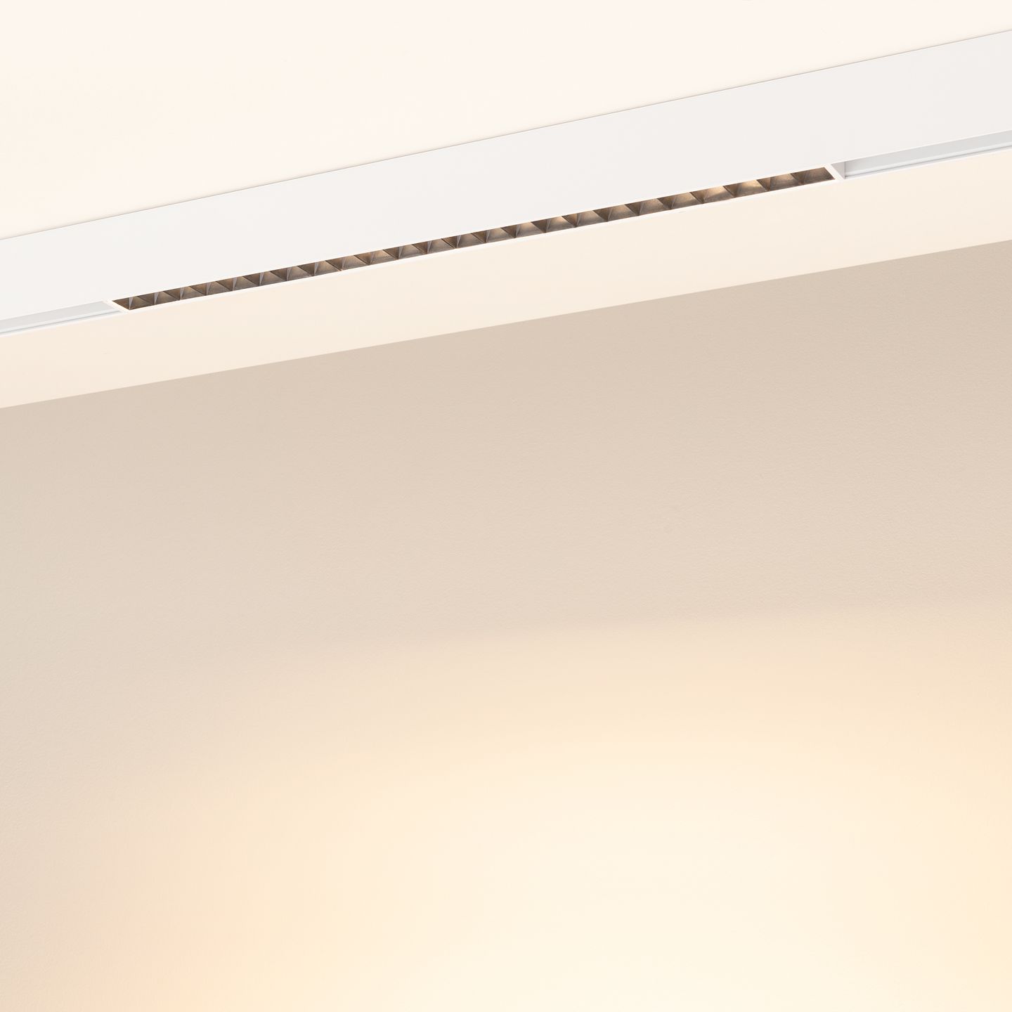 d_DL-12600-0556.jpg