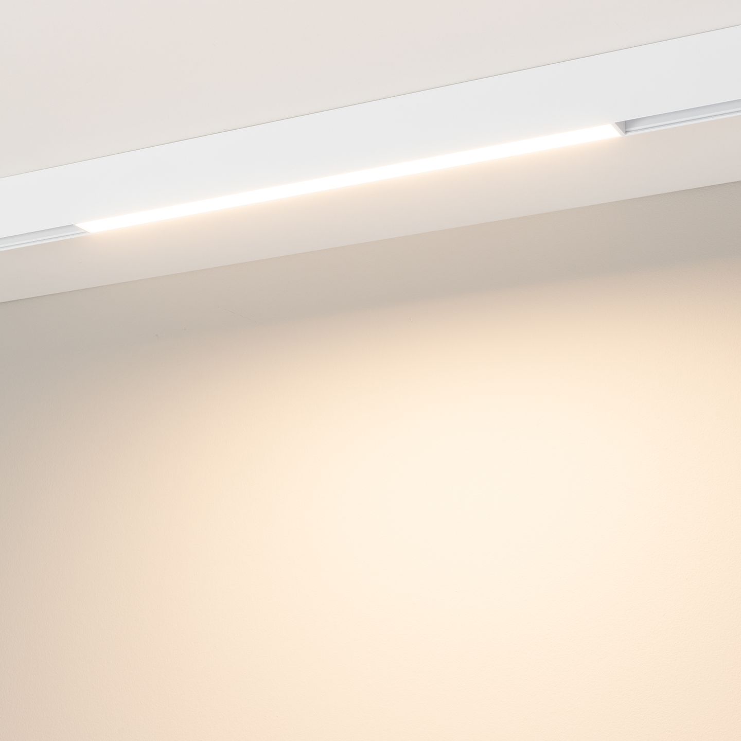 b_DL-12600-0504.jpg