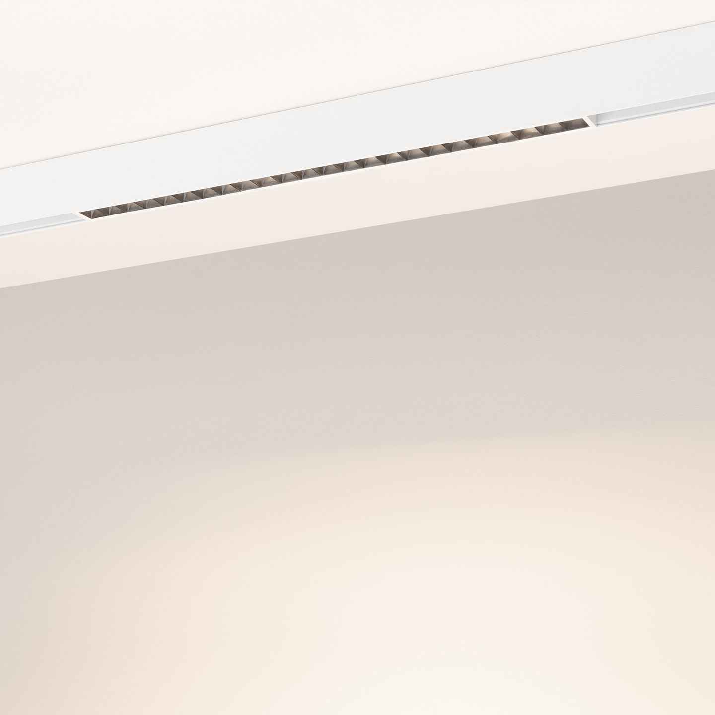 d_DL-12600-0551.jpg
