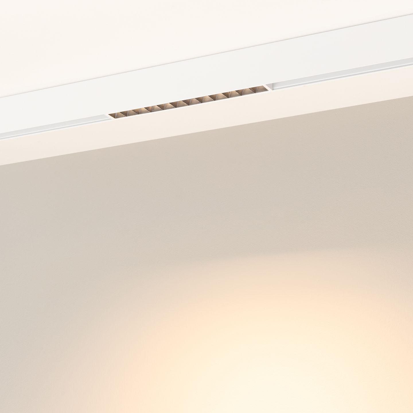 b_DL-12600-0547.jpg
