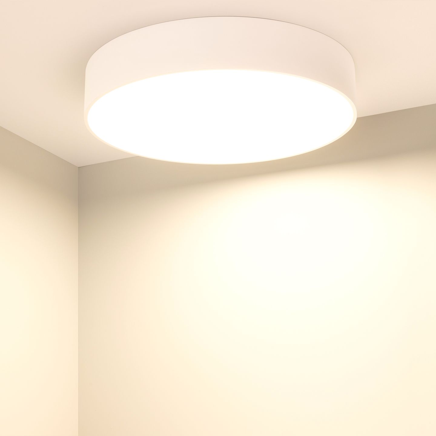d_DL-12700-0082.jpg