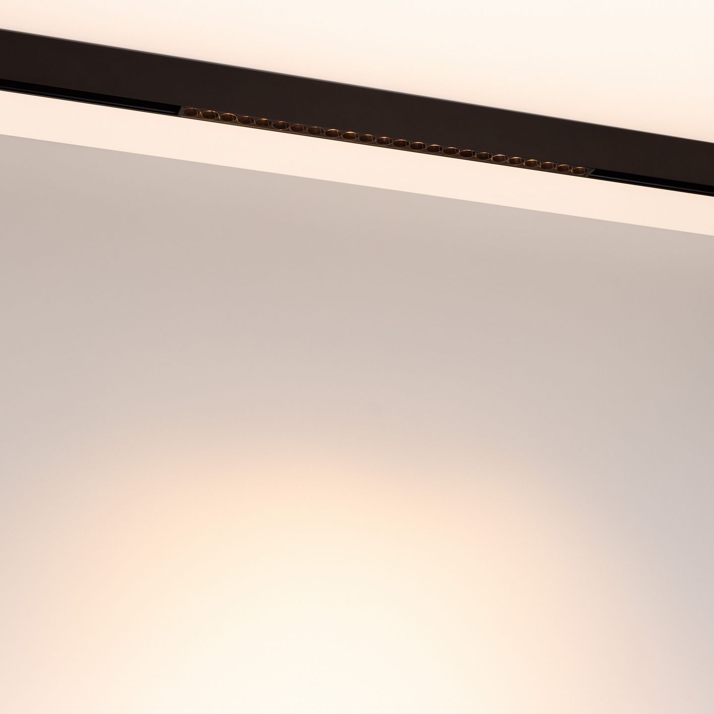 d_DL-12600-0447.jpg