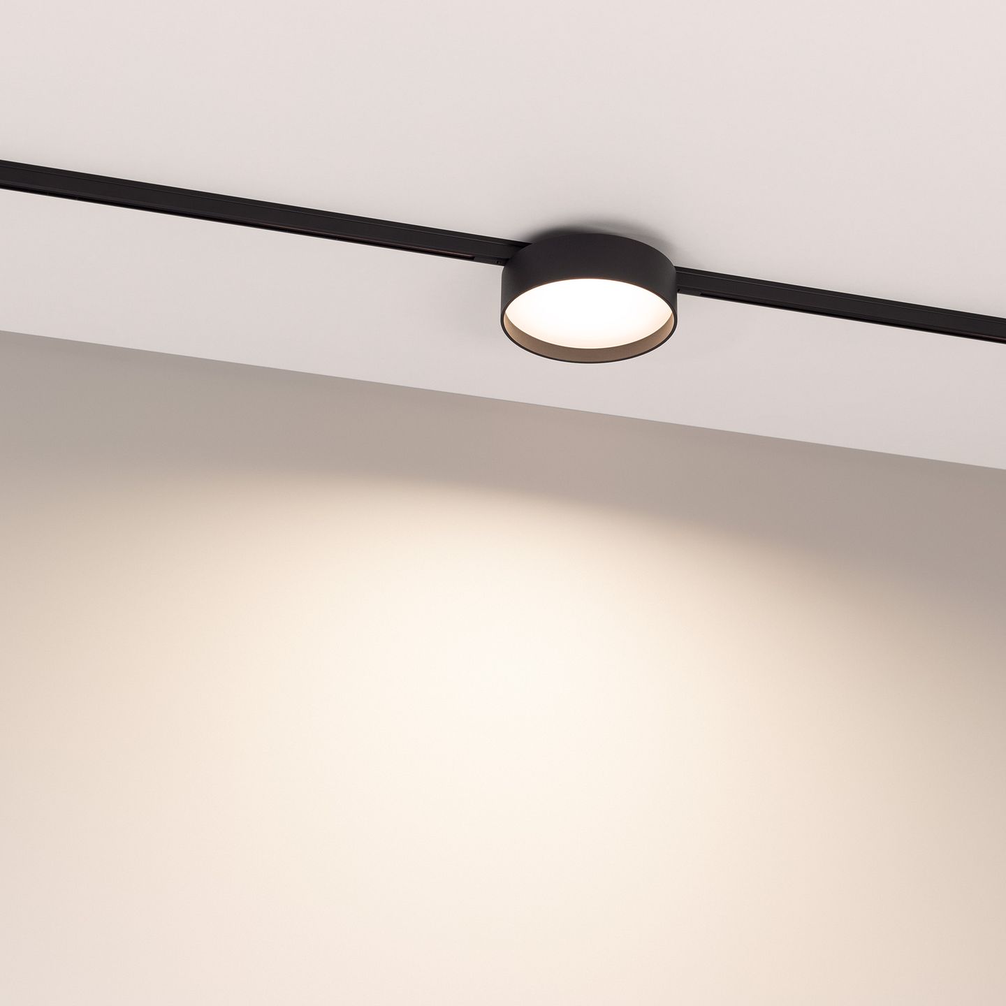 b_DL-12600-0417.jpg
