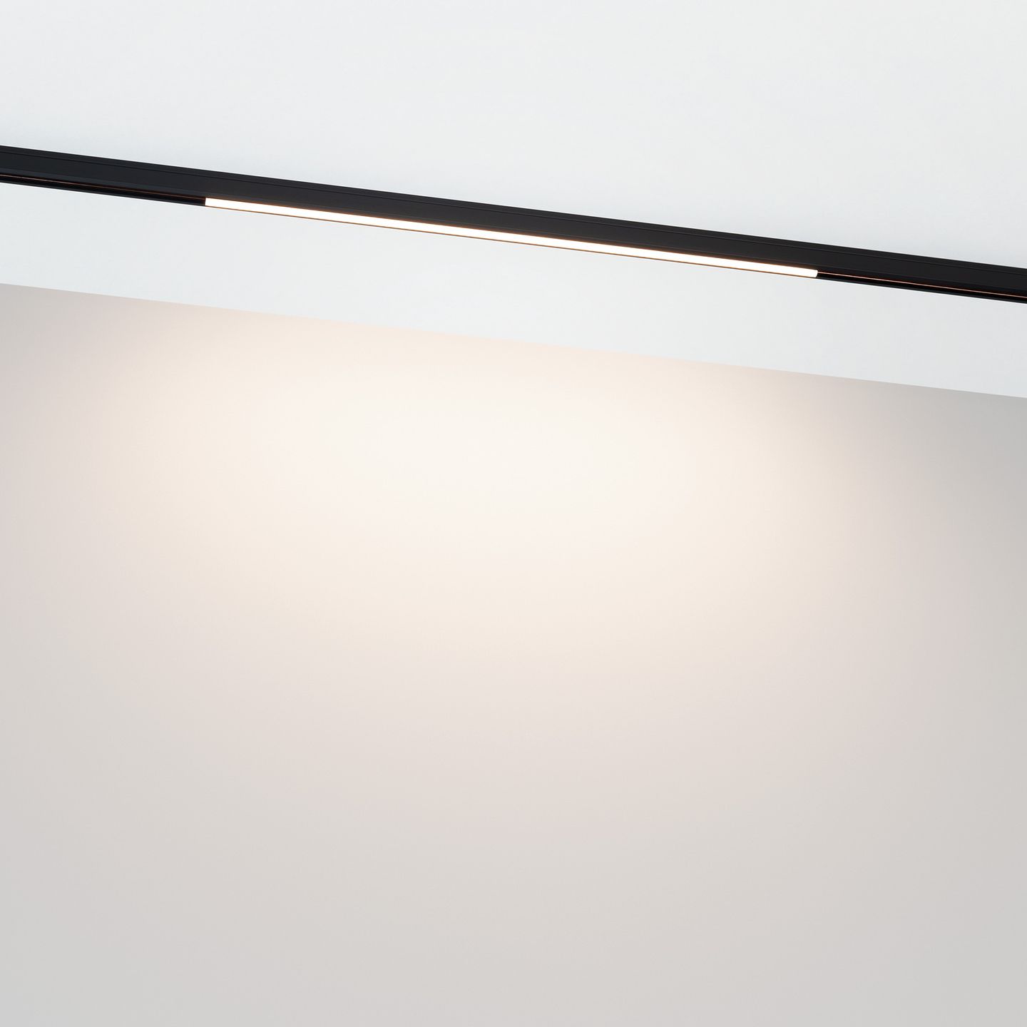 a_DL-12600-0424.jpg