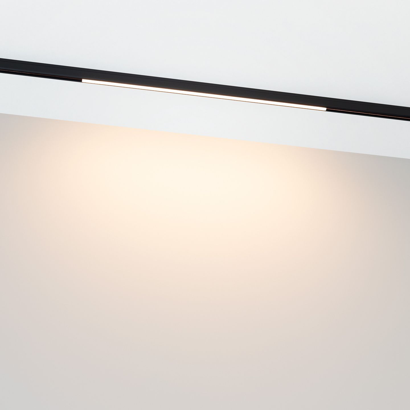 b_DL-12600-0425.jpg