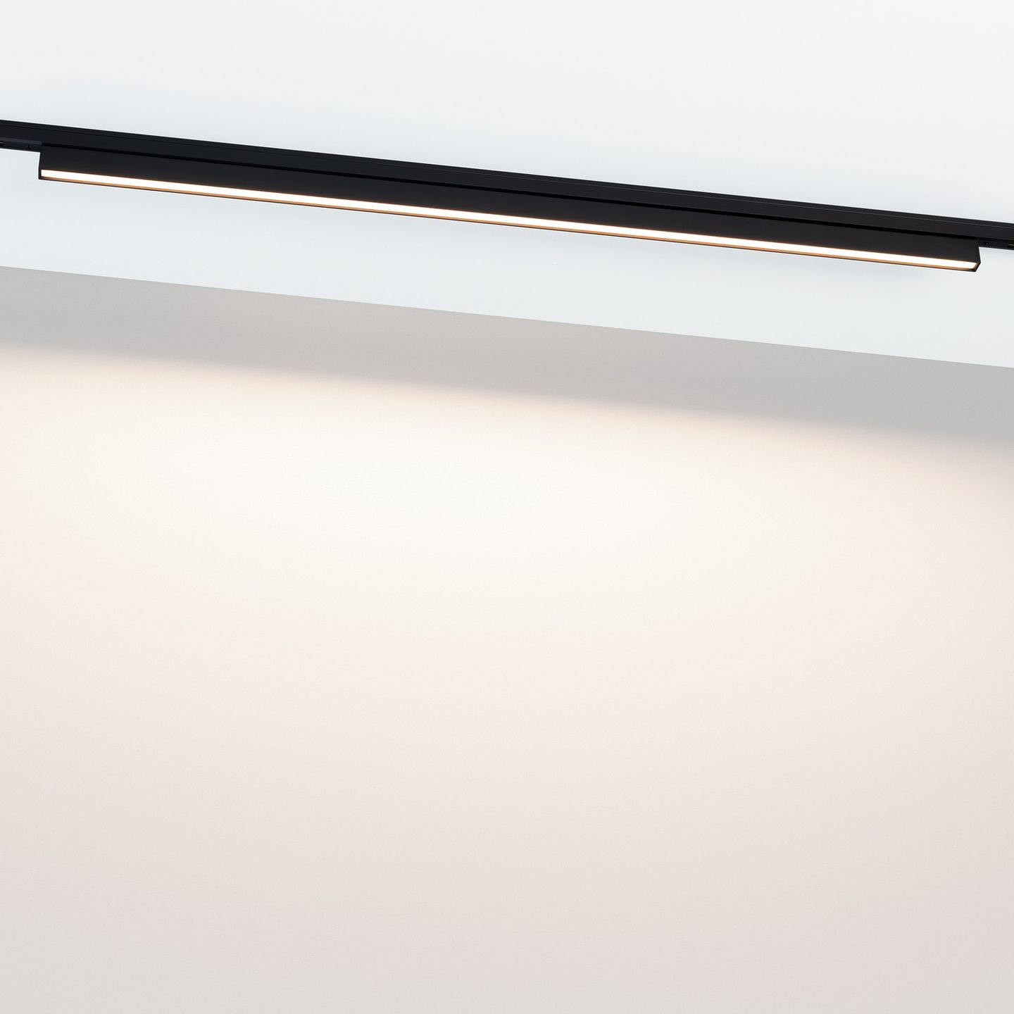b_DL-12600-0408.jpg