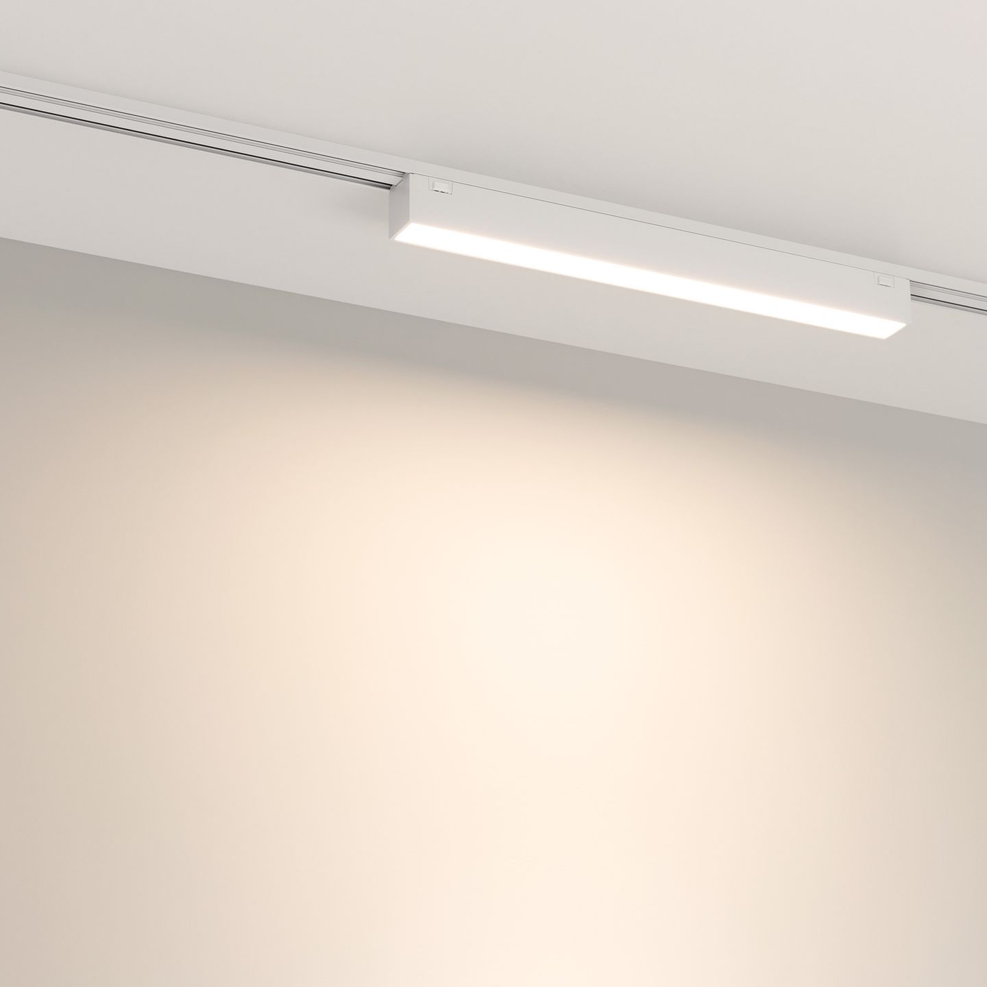 a_DL-12600-0772.jpg