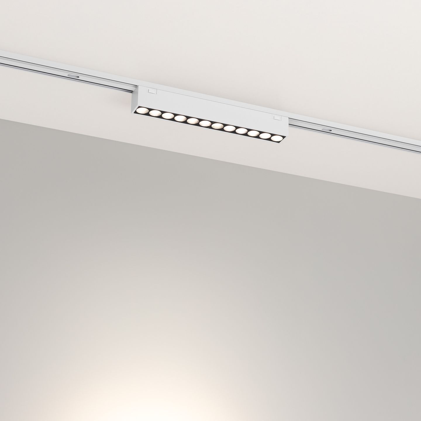 a_DL-12600-0794.jpg