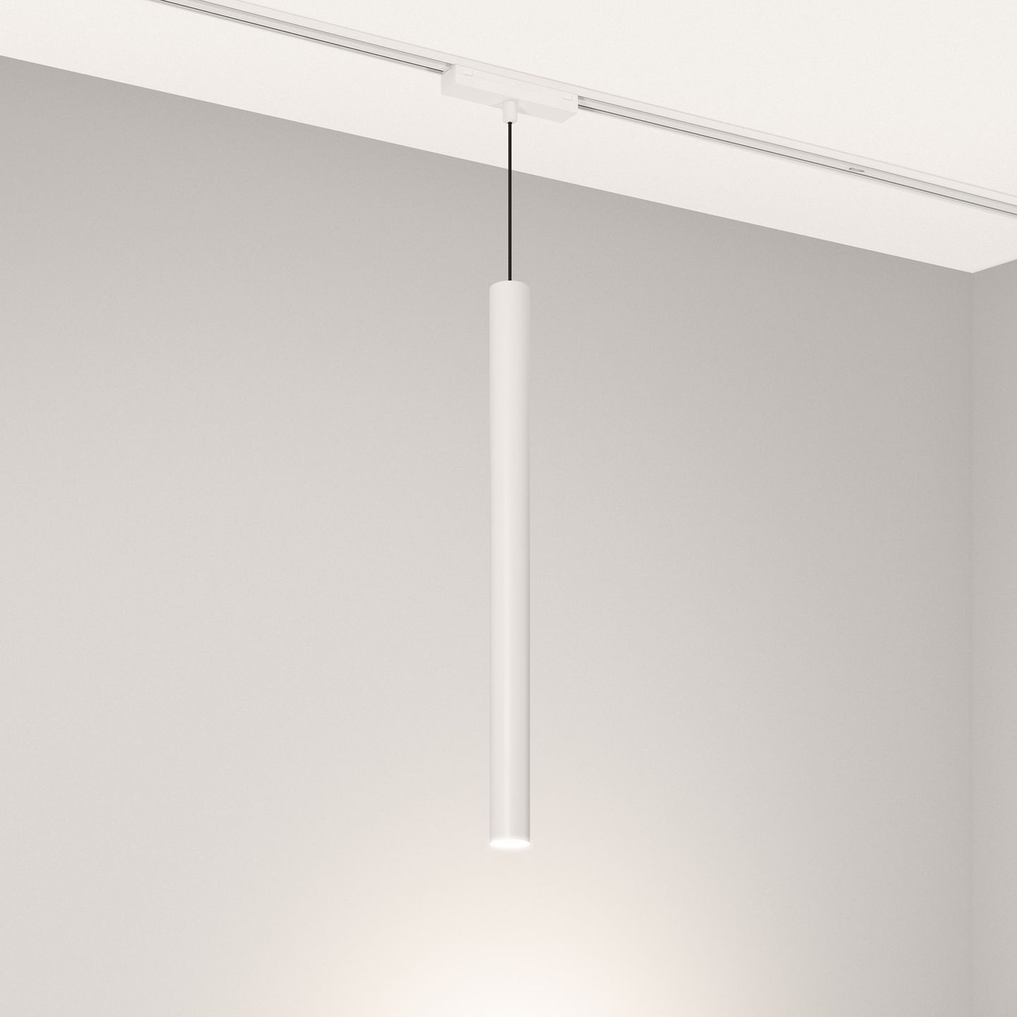 a_DL-12600-0826.jpg