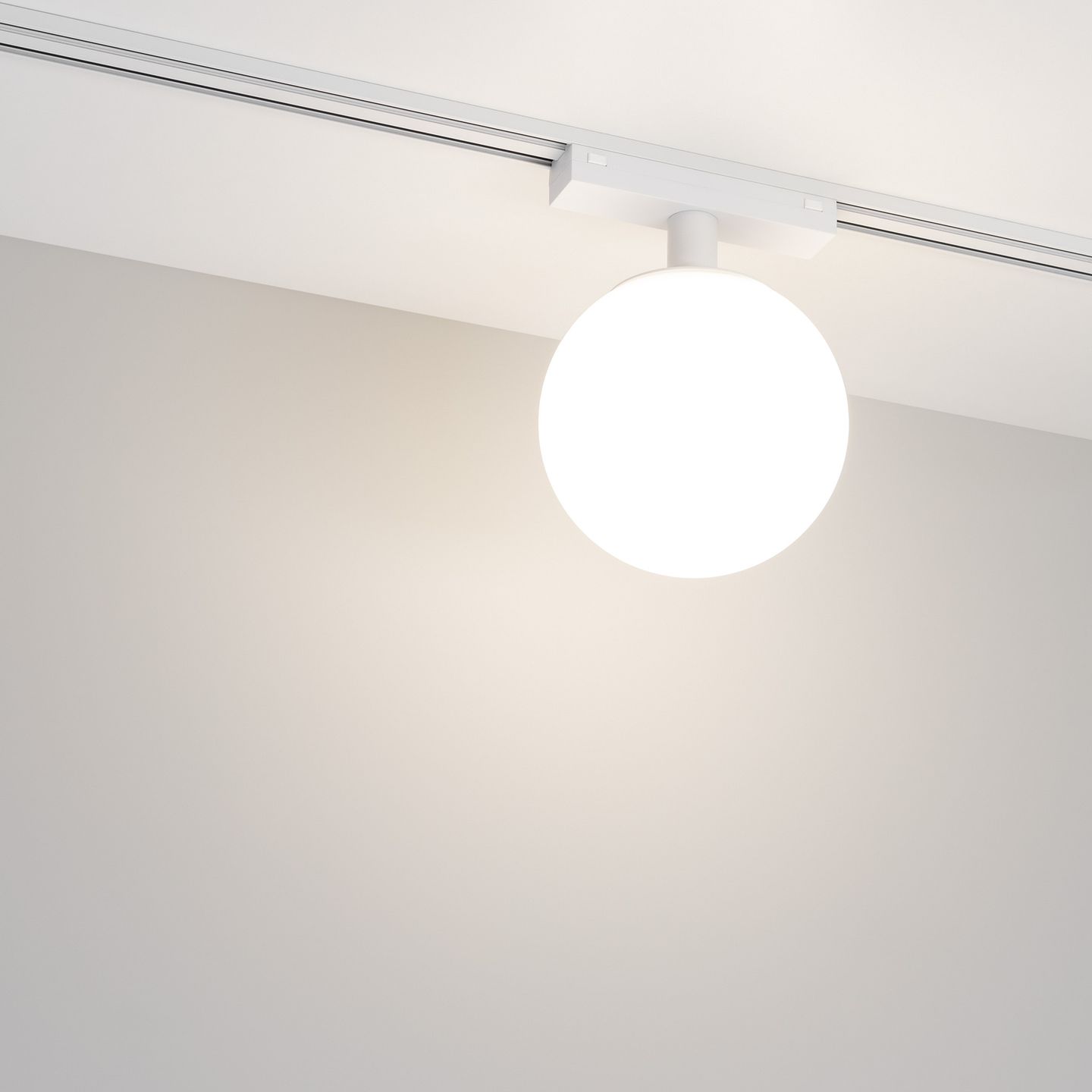 a_DL-12600-0818.jpg