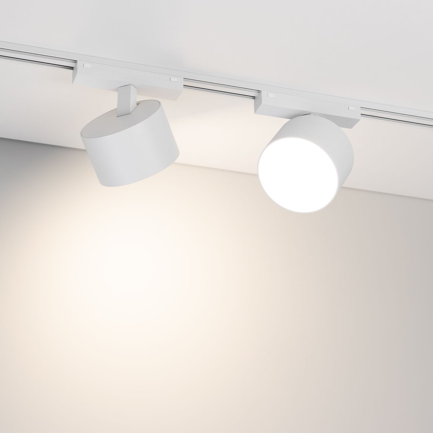 b_DL-12600-0812.jpg