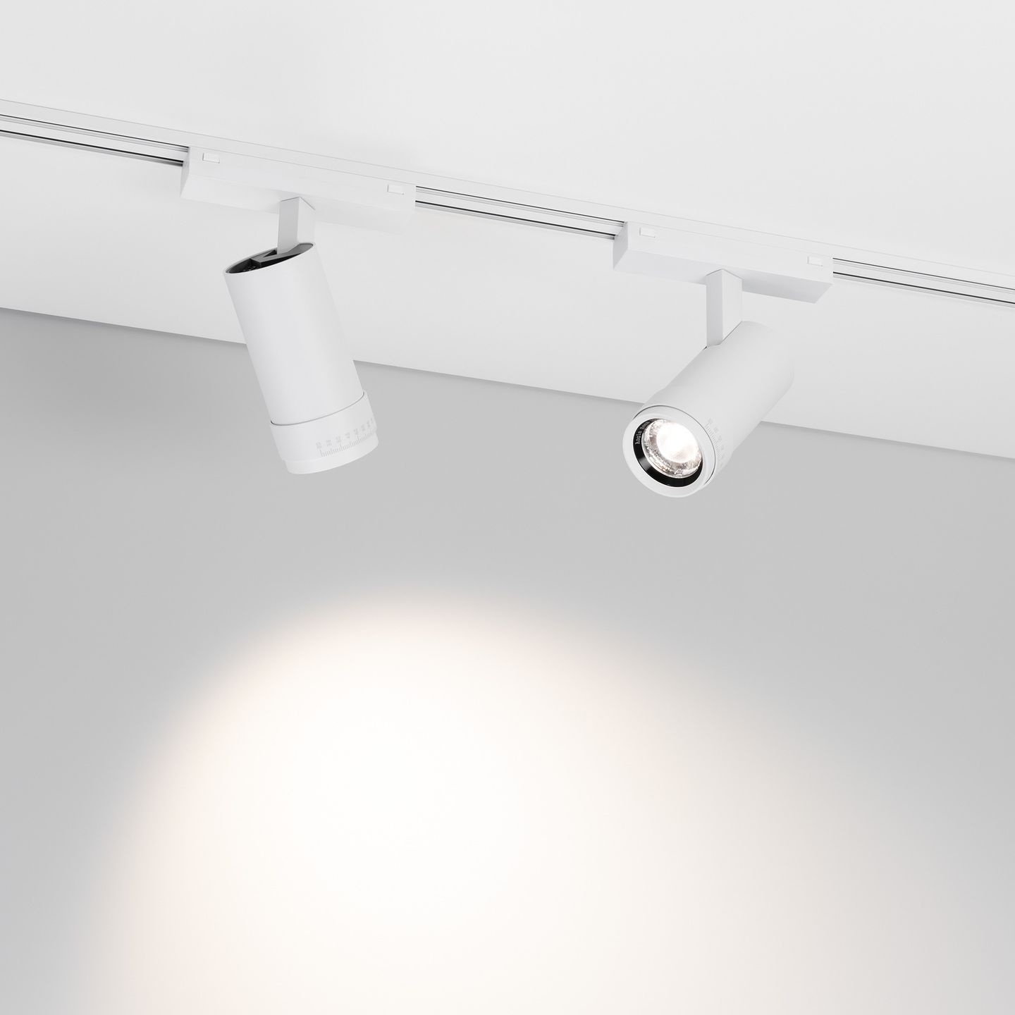 b_DL-12600-0844.jpg