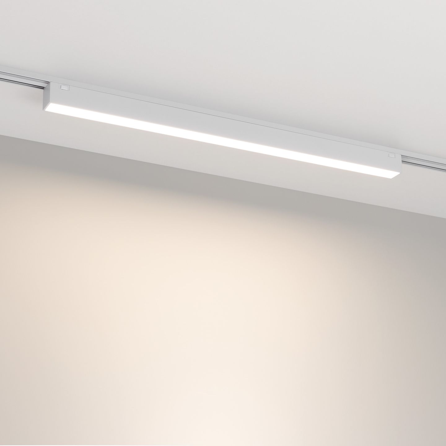 b_DL-12600-0777.jpg