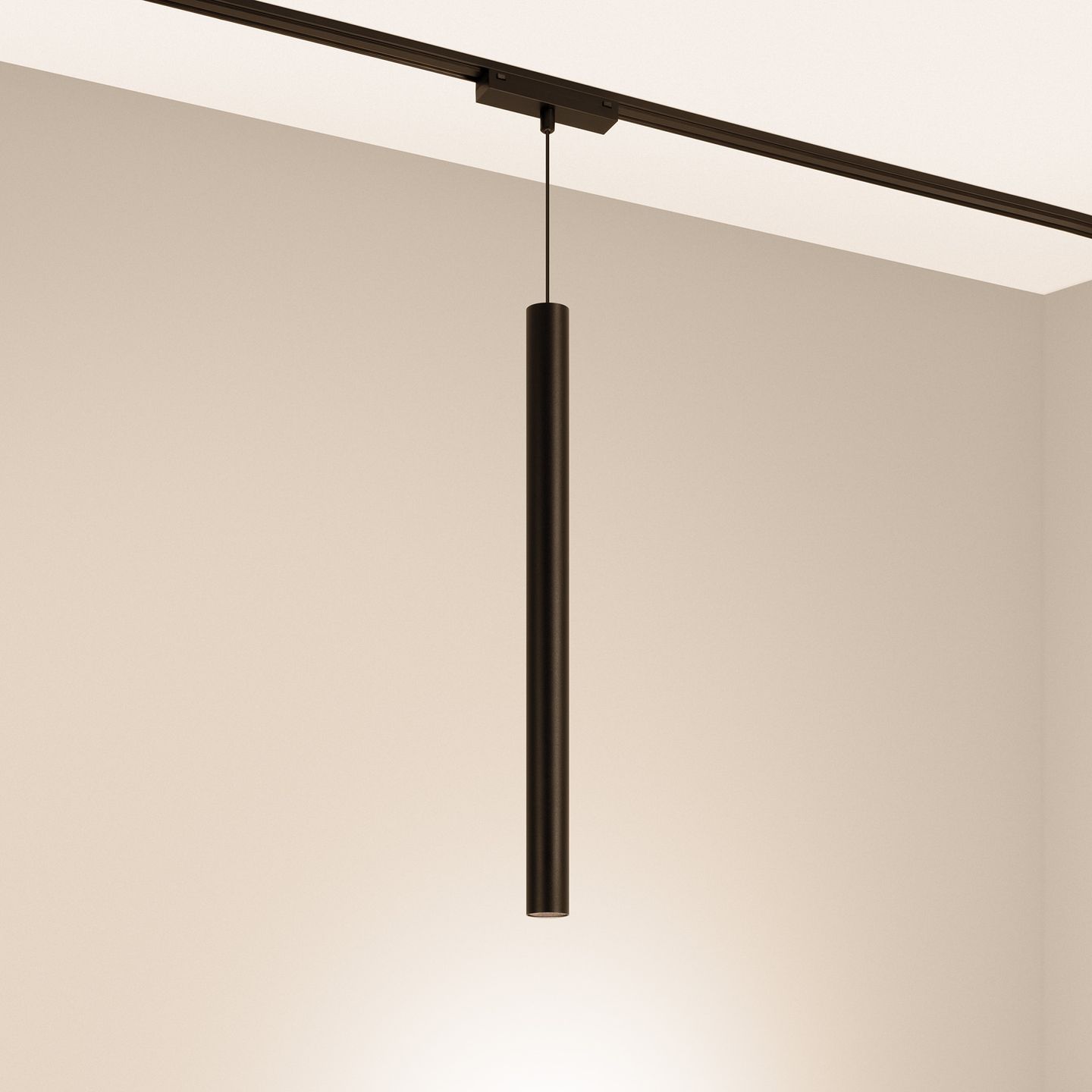 e_DL-12600-0822.jpg