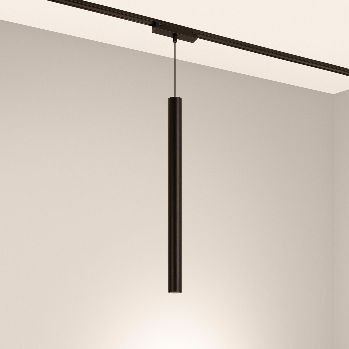 d_DL-12600-0822.jpg