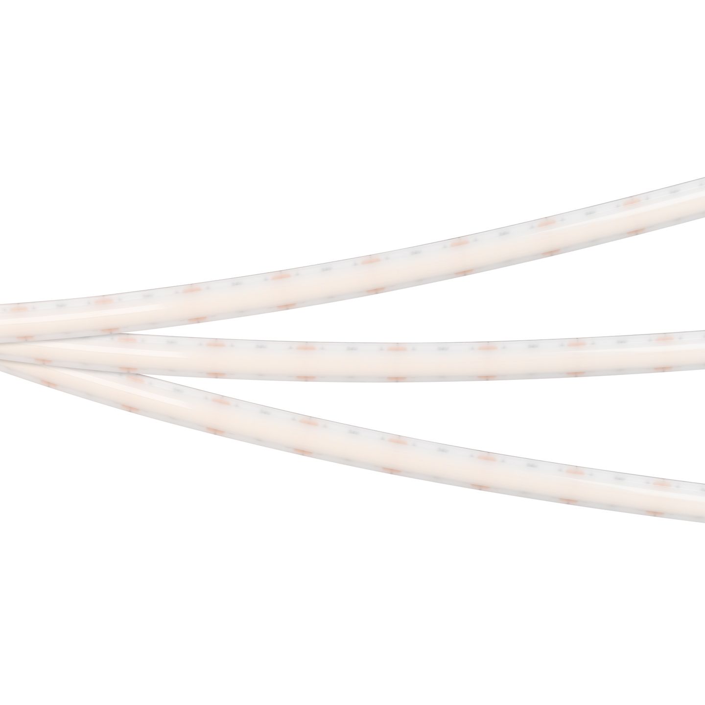 d_DL-06900-0524.jpg