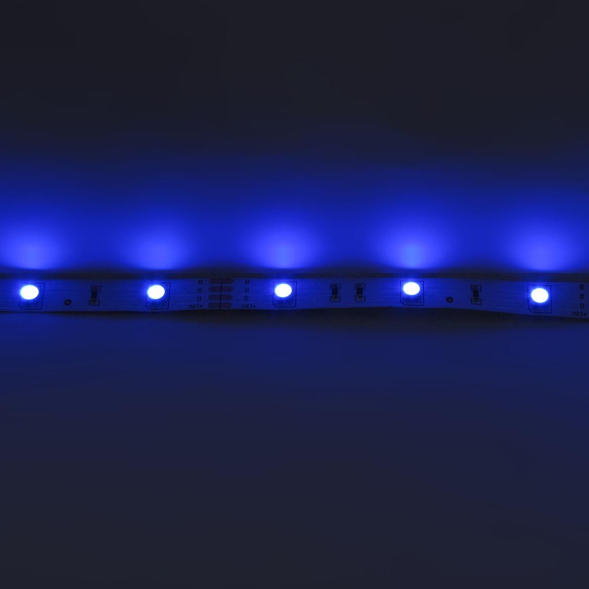 e_52697.jpg