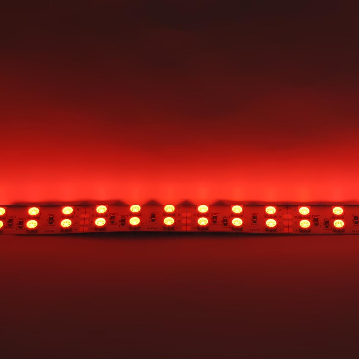 b_31013.jpg
