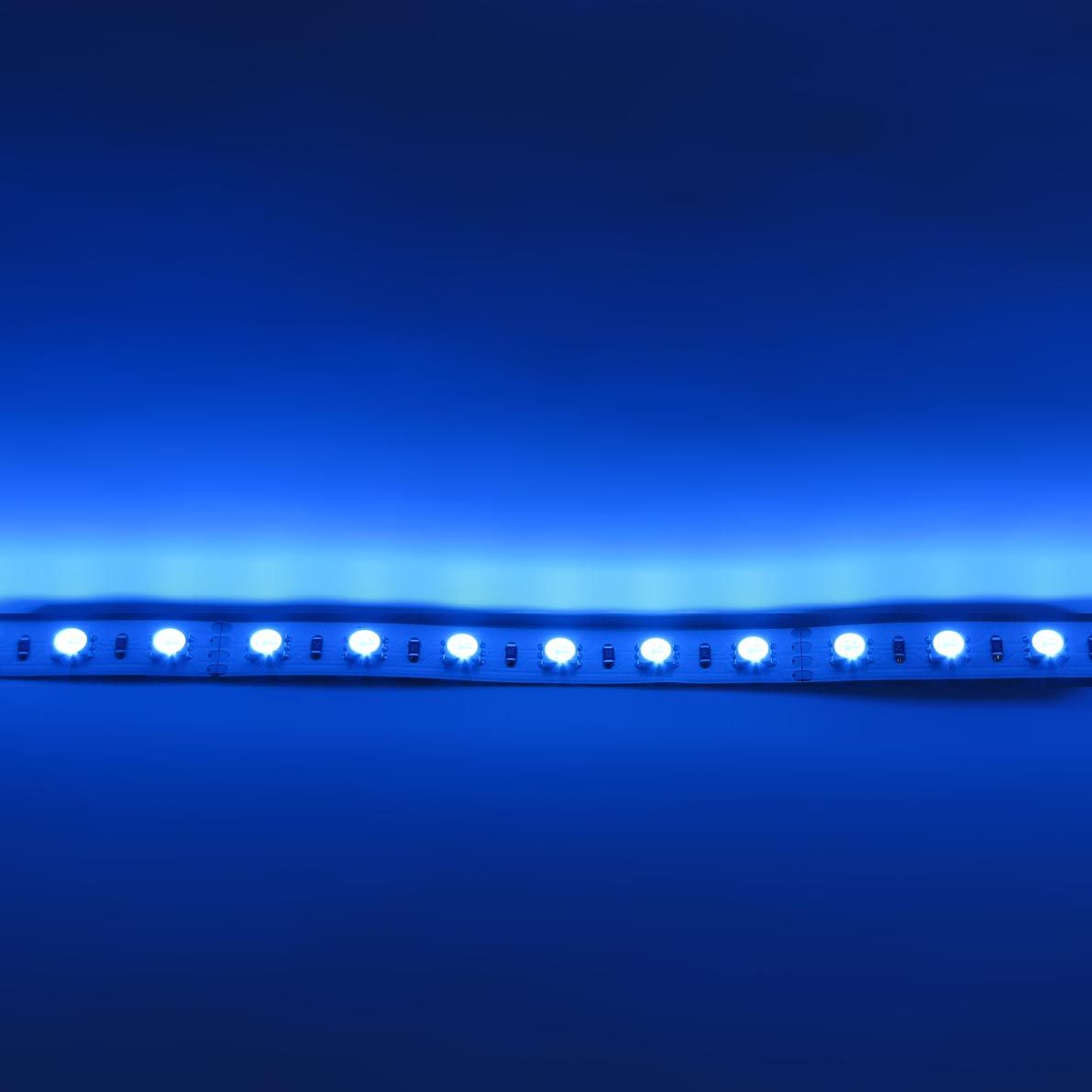 d_31011.jpg