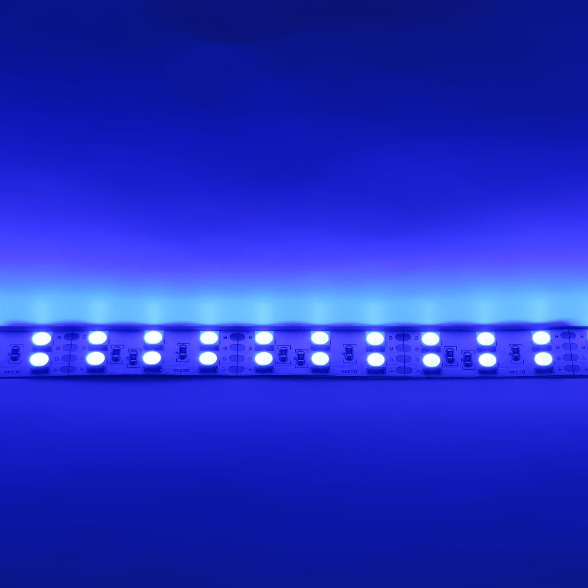 c_31013.jpg