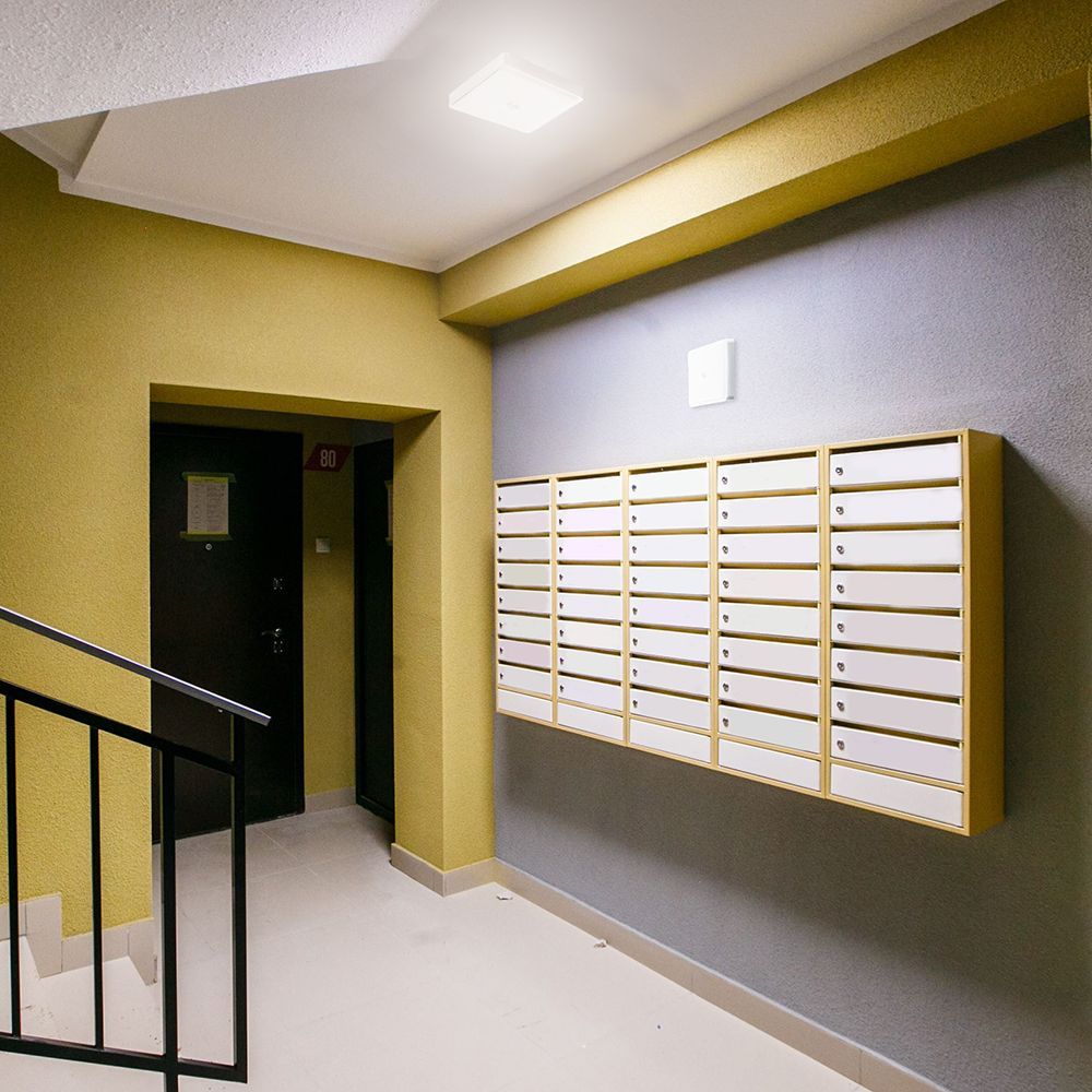 e_41804.jpg
